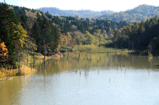 f0212586_10144382.jpg