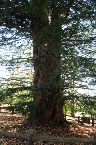 f0212586_14125438.jpg