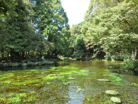 冨士山麓一周（7）　浅間大社～白糸の滝　　_d0183387_21233594.jpg