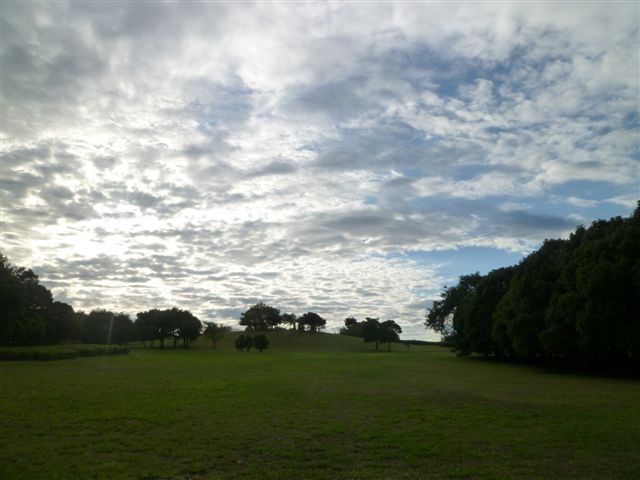 b0175688_1932945.jpg