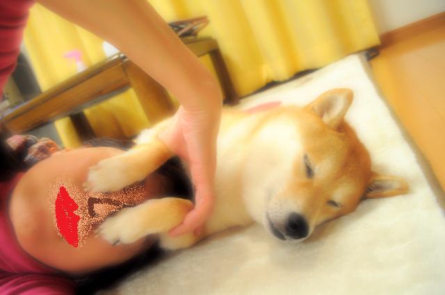 ちょっと心配_a0126590_581696.jpg
