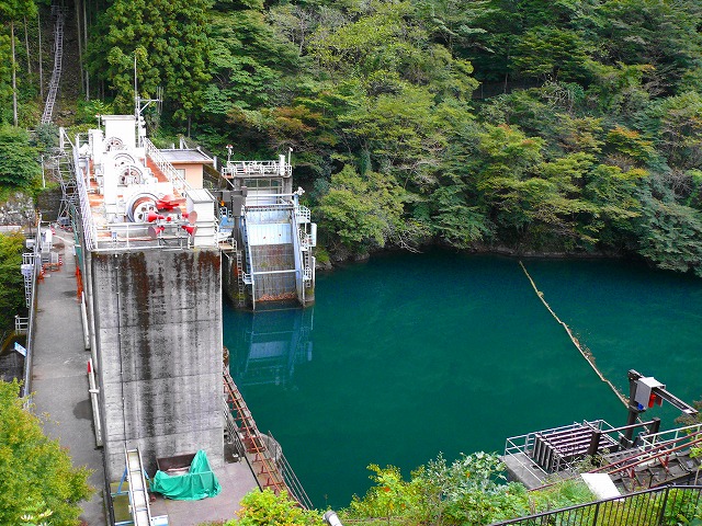 多摩川倶楽部通信　多摩川本流編♪_e0202393_21371881.jpg