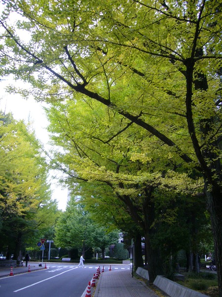 f0169397_12142429.jpg