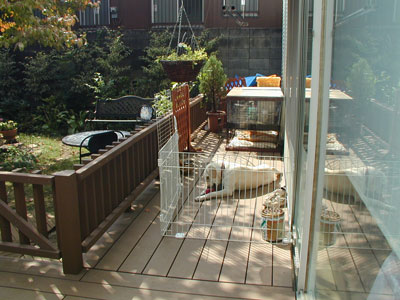 d0181899_18164381.jpg