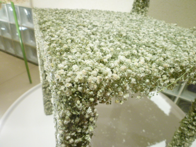 かすみ草の椅子_a0116902_1151041.jpg