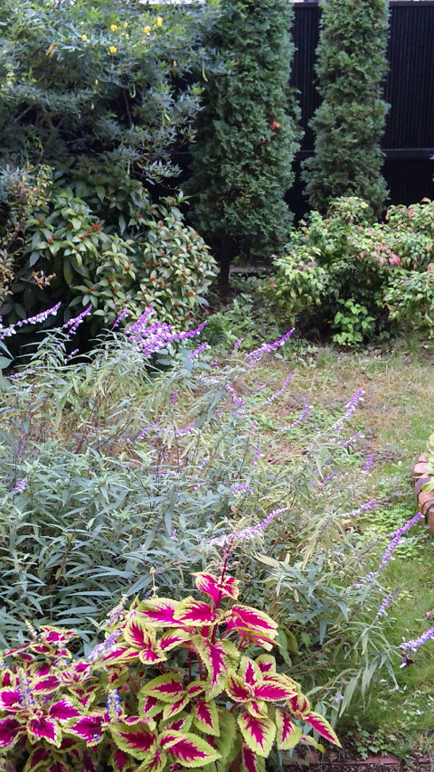 f0144003_14131170.jpg