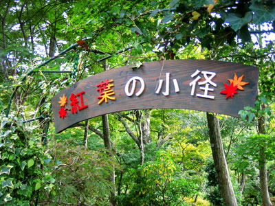 a0071805_10464316.jpg
