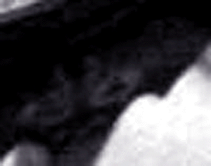 e0103408_18492975.gif