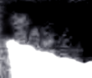 e0103408_1925423.gif