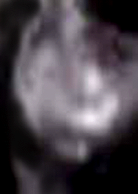 e0103408_1931393.gif