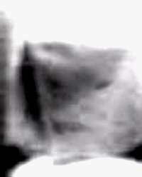 e0103408_1933564.gif