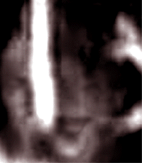 e0103408_1935868.gif