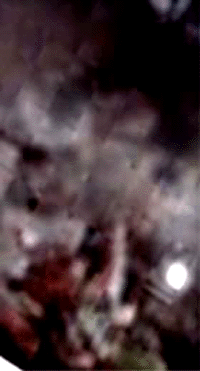 e0103408_6164214.gif