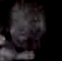 e0103408_6322359.gif