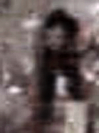 e0103408_6351398.gif