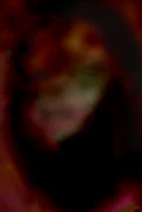e0103408_6361043.gif