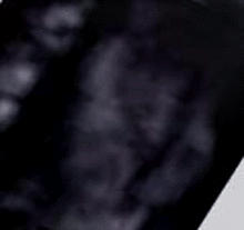 e0103408_6364133.gif