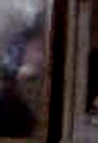 e0103408_6373447.gif