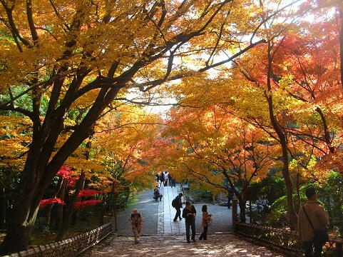 京都で母娘の旅　～２００９．１１～　＝金閣寺編＝_d0036611_12323515.jpg