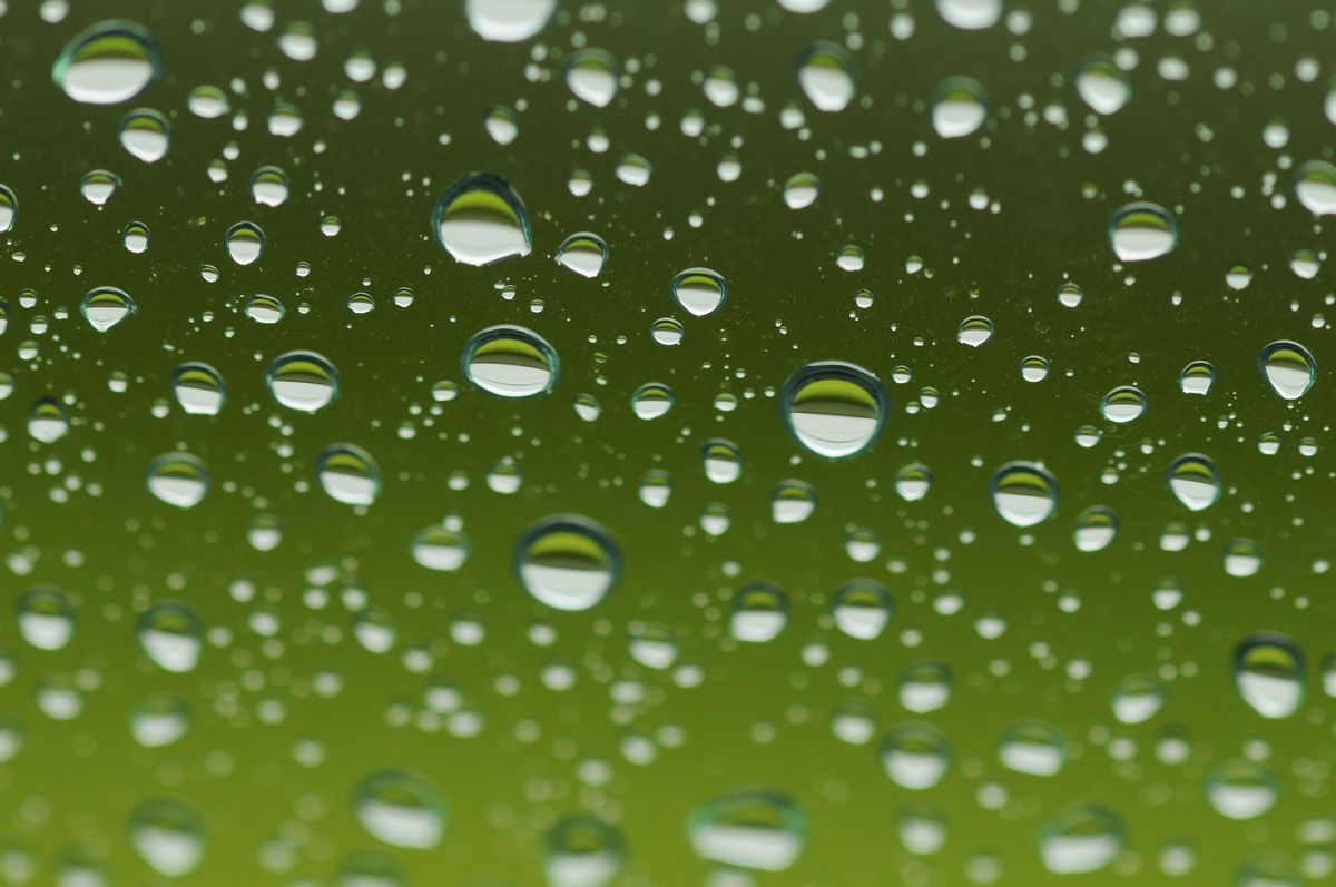 雨の雫の悪戯(ｲﾀｽﾞﾗ)_f0133213_19402842.jpg