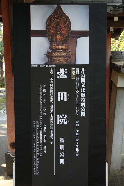 b0169330_23204153.jpg