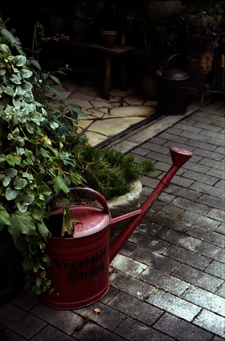 2010-10-31　路地裏の花屋にて_c0136330_2164751.jpg