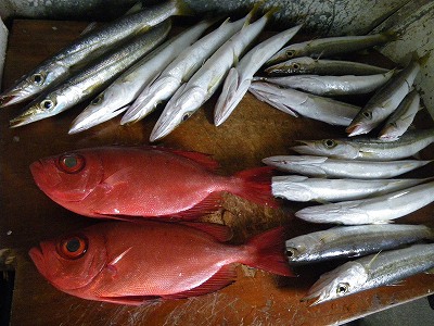 柳の下のどじょう ボロンの下にキントキ 鹿児島の海フライ 柳の下のどじょう ボロンの下にキントキ 鹿児島の海フライ