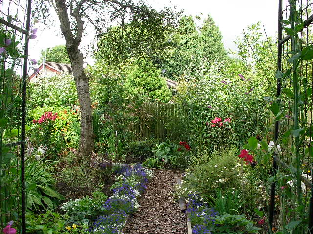 イギリスの小さな庭 フルルルパ ｆｌｌｌｐａ
