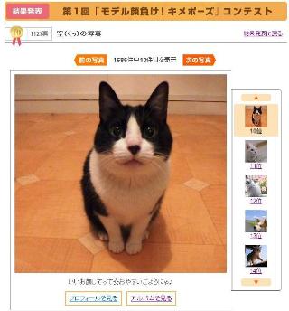 Yahoo!ペット第1回「モデル顔負け!キメポーズ」コンテスト第10位猫。_a0143140_0441945.jpg