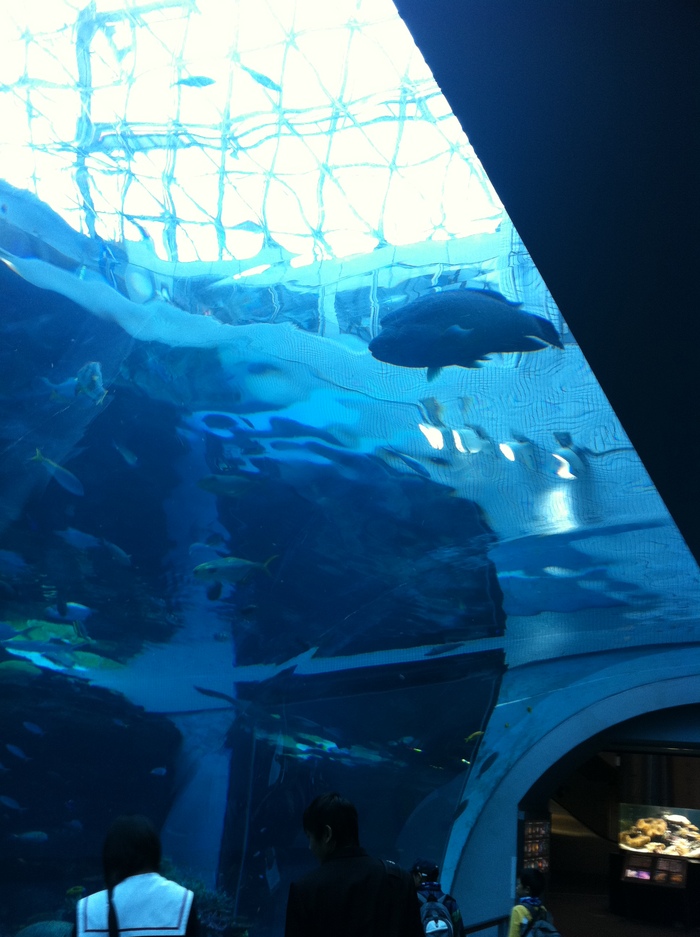 e0186541_20513171.jpg
