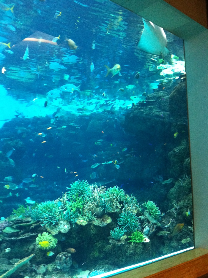 e0186541_20521496.jpg