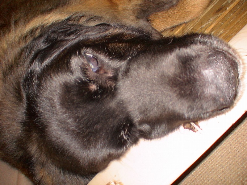 e0023643_225005.jpg
