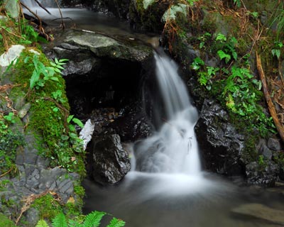 e0035757_22151650.jpg