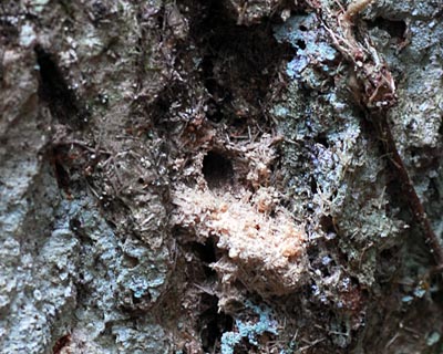 e0035757_22163983.jpg