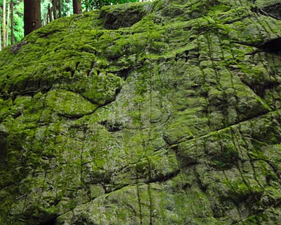 e0035757_22232670.jpg