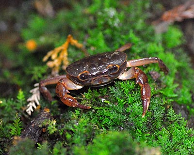 e0035757_2223580.jpg