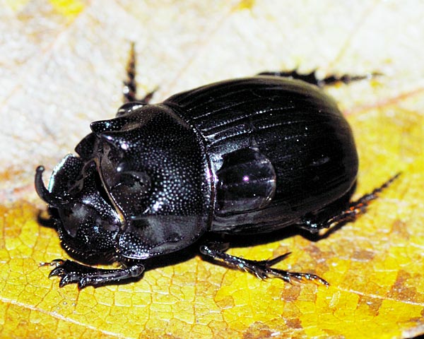 e0035757_22264210.jpg