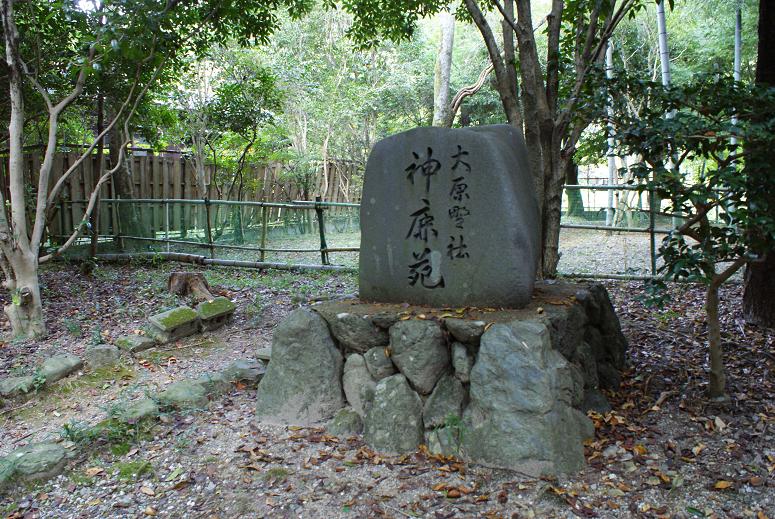 大原野神社と春日乃茶屋のよもぎ餅_b0063958_10303788.jpg