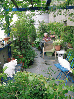 e0200261_15284340.gif