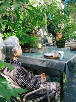 e0200261_17143276.gif