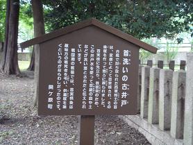 c0148762_19344128.jpg