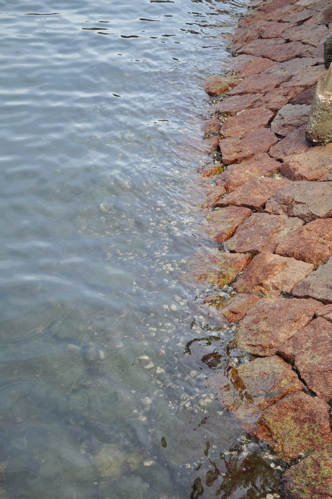 e0125762_1335318.jpg