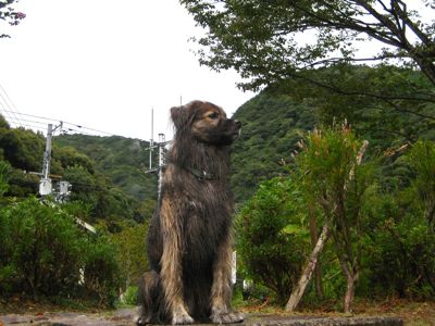 和歌山旅行記１　〜すさみ〜_a0119263_16303849.jpg