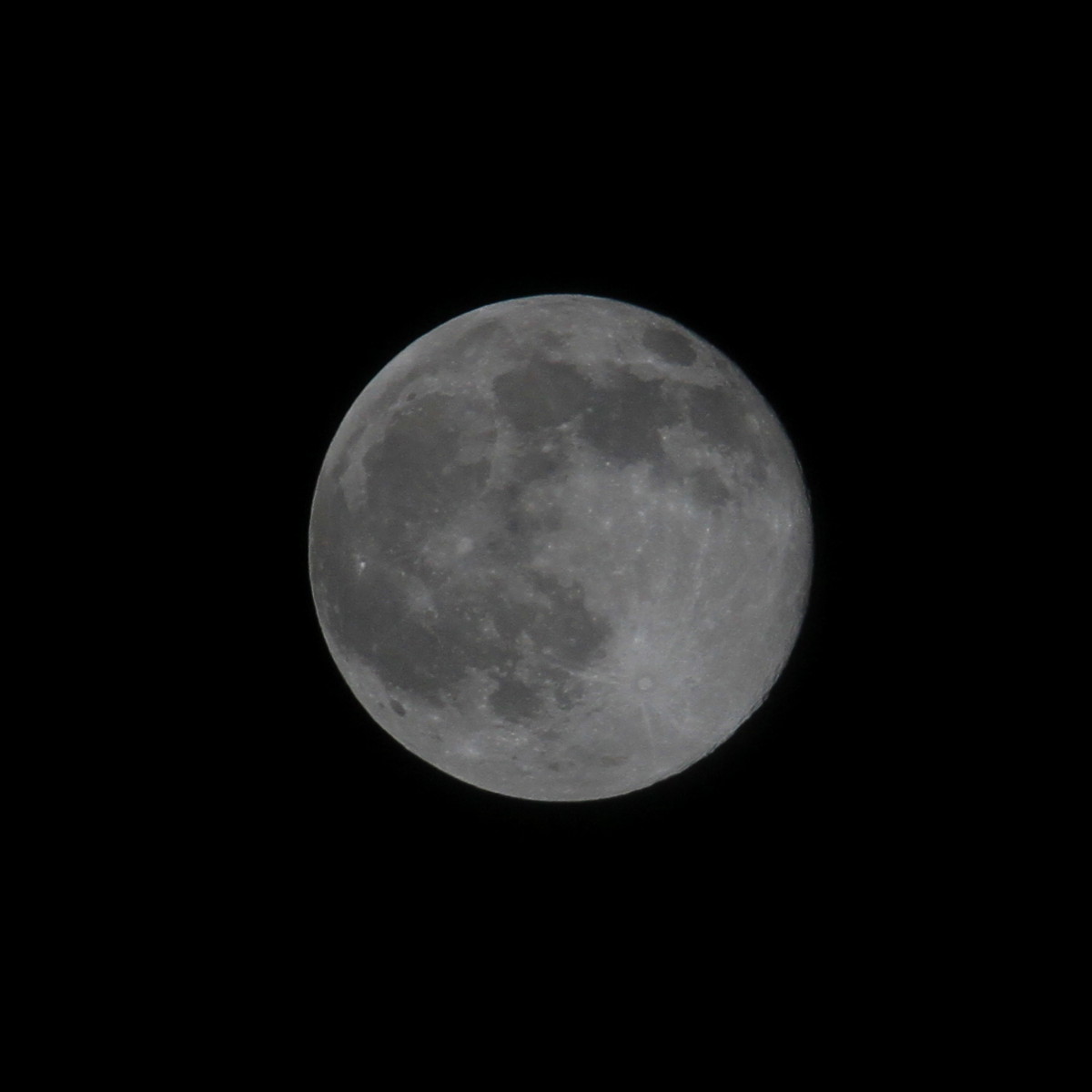 a0146869_74151.jpg