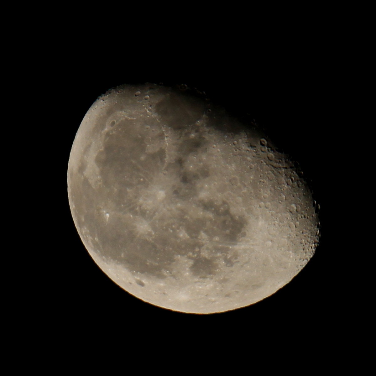 a0146869_74445.jpg