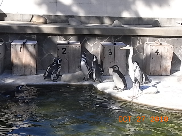 e0155771_2249498.jpg