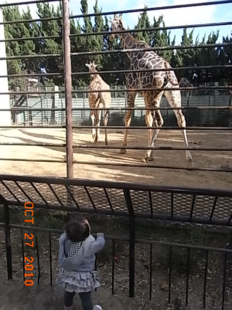e0155771_2323010.jpg