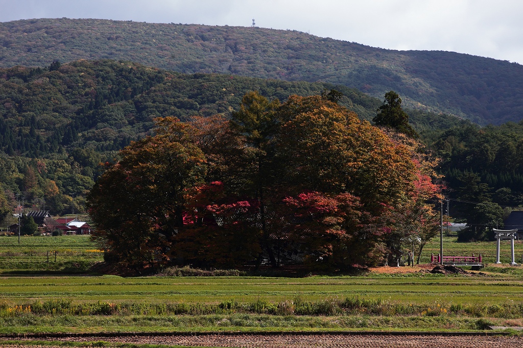 山に暮らせば_e0091879_0571946.jpg