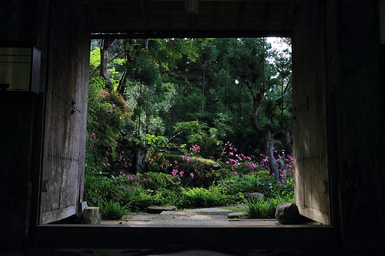 宗蓮寺_e0051888_22294015.jpg