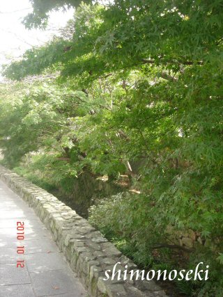 f0056297_0401721.jpg